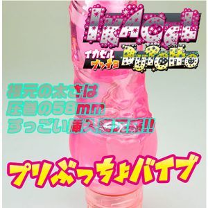 イカセルブッチョ4
